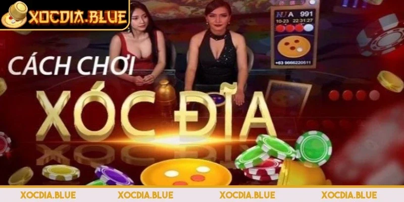 4 thương hiệu nổi bật về xóc đĩa