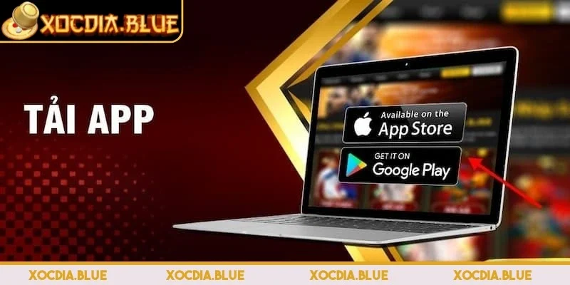 Điểm qua các lưu ý cần quan tâm khi tải app