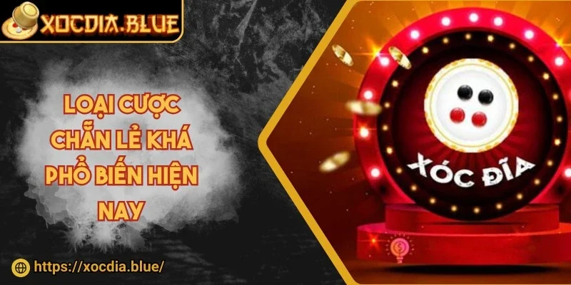 Loại cược chẵn lẻ khá phổ biến hiện nay