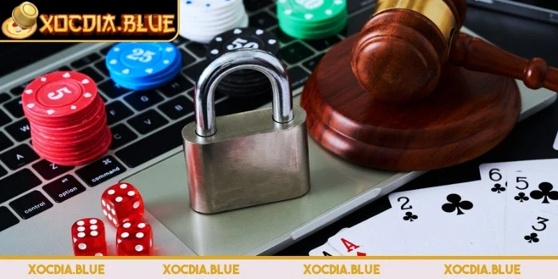 Các hình thức cược đa dạng giúp người chơi thử nghiệm chiến thuật