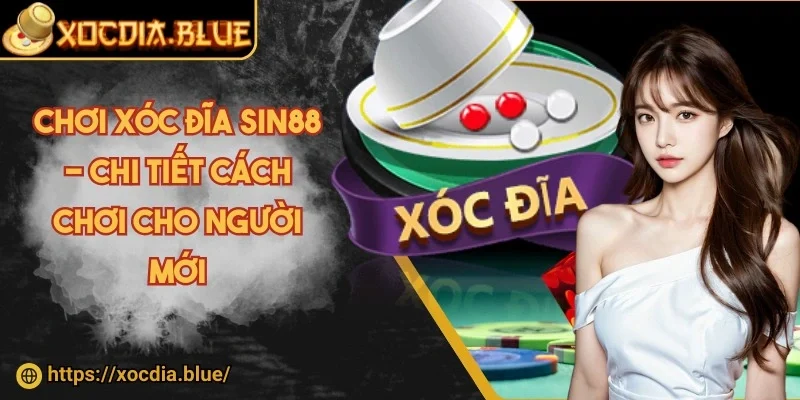 Chơi xóc đĩa Sin88 - Chi tiết cách chơi cho người mới