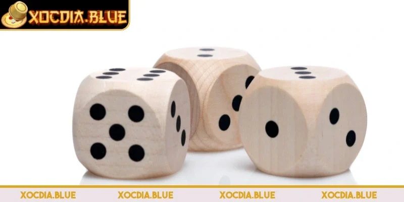 Hướng dẫn các bước tham gia đơn giản kể cả người mới