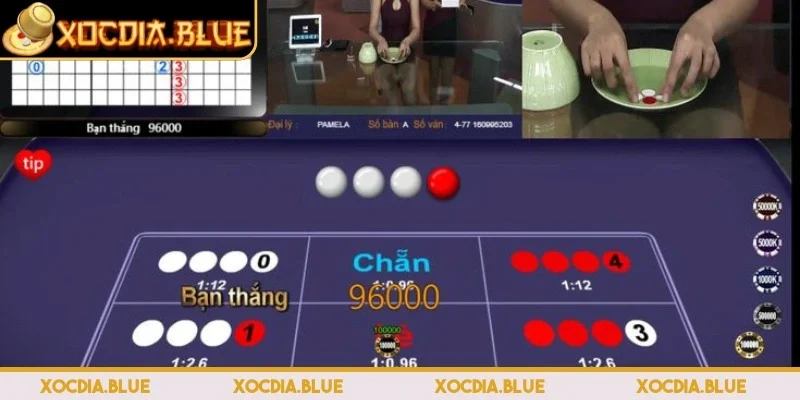 Tìm hiểu về xóc đĩa Zbet
